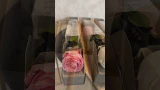 Premium long life roses in giftbox 🌹🎁 [upl. by Rutger]