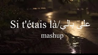 Si tétais làLouanne3ala baliAdam cover by Andrea [upl. by Wiburg755]