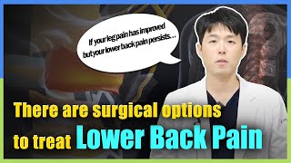 Can Spinal Ligament Reconstruction Surgery Eliminate Lower Back Pain [upl. by Mannes]