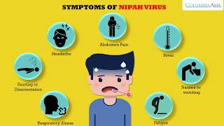 Nipah Virus What Is It and Why Is It Dangerous  Nipah Virus Symptoms  Explained [upl. by Goldin990]