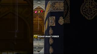 Assalam Assalam Trending Naat Part 2 ✨💕  naat naatsharif trending shorts ytshorts [upl. by Ahsoek]