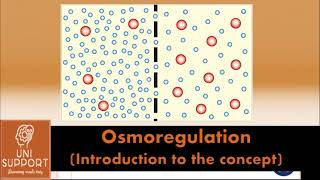 Osmoregulation and basic concepts [upl. by Augustine]