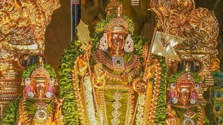 சொல்லச் சொல்ல  Solla solla inikkuthada muruga song nallurmurugan murugansongs murugan song [upl. by Puett]