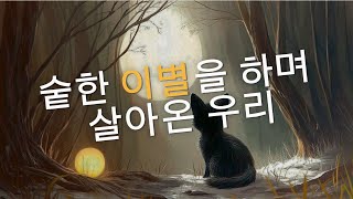 Playlist 숱한 이별을 하며 살아온 우리  분위기 있는 감성 팝송 [upl. by Yesiad]