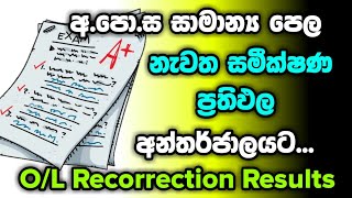 OL Recorrection Results  Shan Creation  OL 2020  DOE  OL Examination After Rescrutiny [upl. by Snebur]