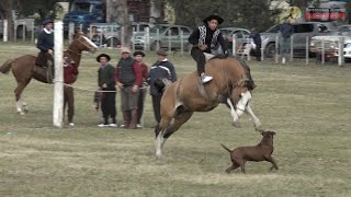 GRAN JINETEADA CON GURUPA ORGANIZA RINCÓN CRIOLLO DE INDIO RICO MAYO DOMINGO 212023 [upl. by Cavill]