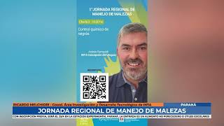 Ricardo Melchiori  Jornada regional de manejo de malezas en el INTA Paraná [upl. by Elgna]