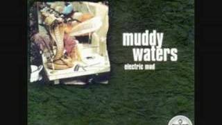 Muddy Waters  Mannish Boy [upl. by Terrene460]