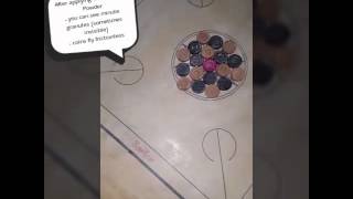 Demo  BEST CARROM POWDER available worldwide  Vasu Carrom Powder [upl. by Ha]