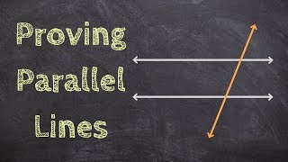 What are the Angle Relationships for Parallel Lines and a Transversal [upl. by Wendelin]