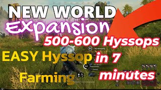 New World Hyssops Farm 2023 [upl. by Simon]