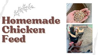 Homemade Corn and Soy Free Chicken Feed  How to Ferment Chicken Feed [upl. by Akiemehs]