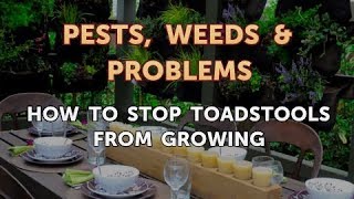 How to Stop Toadstools From Growing [upl. by Pavkovic]