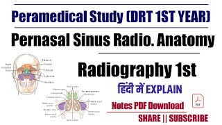 Paranasal Sinus Radiography Anatomy  drt 1st year classes [upl. by Anirahs173]