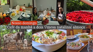 Nosso domingo a dois💑 preparei café da manhã e almoço delicioso  colheita de acerola e mais [upl. by Liebowitz]