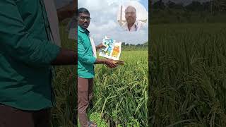 Vestige Agri Products Wonderful ResultMore Information Call Me 9440684693 [upl. by Arihas]