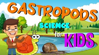 Gastropods  Science for Kids [upl. by Tegan]