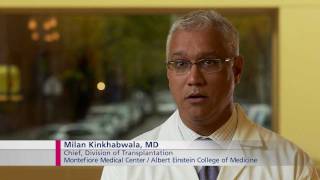 Stem Cell Transplantation  Insights amp Innovations NBC [upl. by Towbin302]