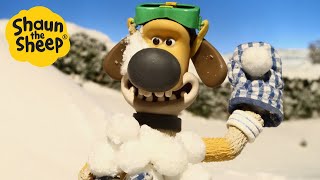 Shaun the Sheep 🐑 Snow Fight  Cartoons for Kids 🐑 Full Episodes Compilation 1 hour [upl. by Salaidh]