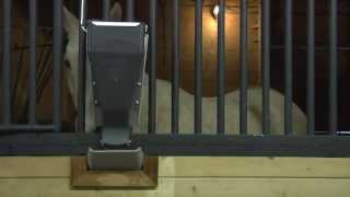 Barn Pros  iFeed Automatic Horse Feeder [upl. by Ortrud]