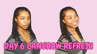 Refresh Day 10 Canerows and Two Strand Twists Protective Style  Box Braids No Puffy Roots [upl. by Ocsecnarf]