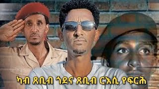 New interview wedi haile ካብ ጸቢብ ጎደና ጸቢብ ርእሲ የፍርሕ YKAWAR TV [upl. by Boesch249]