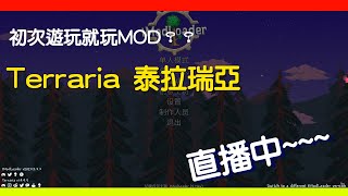 Terraria 泰拉瑞亞 第一次玩就被抓來玩MOD？？ [upl. by Ejrog]