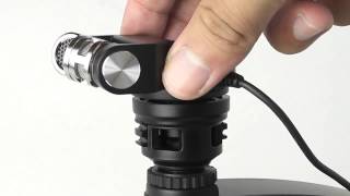 Tascam TM2X Stereo XY Pattern Mic for DSLRs [upl. by Narba126]