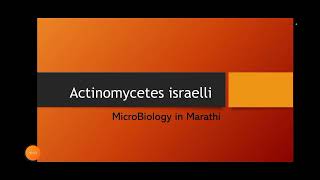 Actinomycetes Israelli  Explianed in Marathi  MicroBiology in Marathi [upl. by Aim]