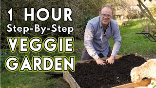 New Vegetable Garden How To Get Started [upl. by Eimam491]