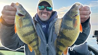 How to Catch JUMBO PERCH on the Bay of Green Bay [upl. by Menendez530]