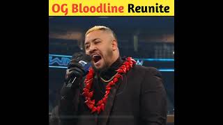 Roman Reigns and Sami Zayn reunite The Og Bloodline shorts wwe [upl. by Rebecka]