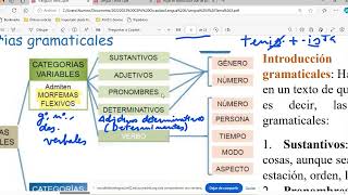 Categorías gramaticales el sustantivo y el adjetivo el género dimensional Lengua II ESO Adultos [upl. by Attenwad]