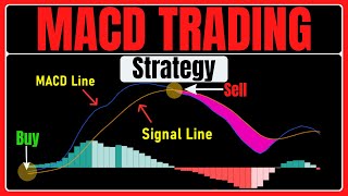 BEST MACD Trading Strategy 86 Win Rate [upl. by Hunsinger]