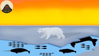 Why Polar Bears are Such Weird Animals [upl. by Ambler22]