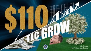 TLC Coin Return 7730 In One Month  Reality of Tlc Coin  India NO1 Crypto Currency Project [upl. by Hyland]