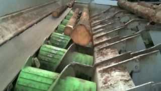 Springer Screw Conveyor System at SCA Tunadal Logsorting [upl. by Russom830]