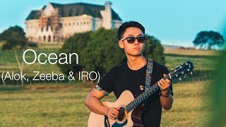 Alok Zeeba amp IRO Ocean  Rodrigo Yukio Acoustic Guitar CoverTABS [upl. by Lime73]