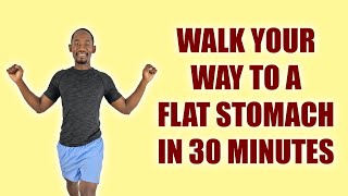 BEGINNERS FLAT STOMACH WORKOUT  30 Minutes Walking In Place [upl. by Eednak]