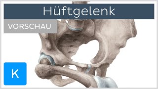 Hüftgelenk Aufbau und Funktion Vorschau  Anatomie des Menschen  Kenhub [upl. by Alleda]