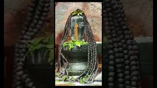 Hara Hara Mahadev om Namashivayyaashorts devotionalsongs [upl. by Massimo287]