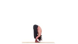 Intensa  Uttana Asana [upl. by Rahel]