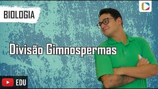 Biologia  Divisão Gimnospermas [upl. by Tedric]