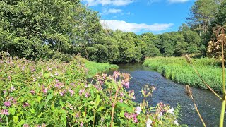 Derwent Walk Country Park England Please subscribe to my channel 🙏 [upl. by Assiral]