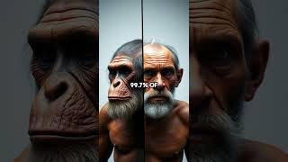 The Astonishing Journey of Human Evolution Explained [upl. by Nohsad441]