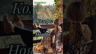 Козерог ♑ Ноябрь 🍂 Карта месяца ♥️козерог картамесяца таропрогноз гадание short [upl. by Sadye]