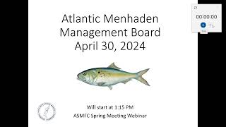 Atlantic Menhaden Board Proceedings Spring2024 [upl. by Enilrad]