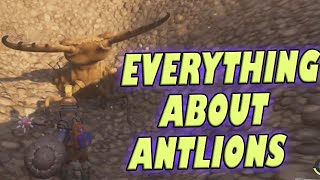 Complete Ant Lion Guide for Grounded Hot and Hazy Update \ New Grounded Update to Antlions [upl. by Nodnab]