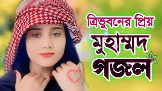 নবীর শানে গজলnabir sane gojolনতুনগজল arifbillahaashiqui newgojol [upl. by Sellma]