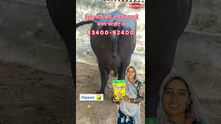 Vitto FORTE Animals Nutrition Mineral Mixture Pet Health Supplements bull cow calcium buffalo [upl. by Ahsiloc]